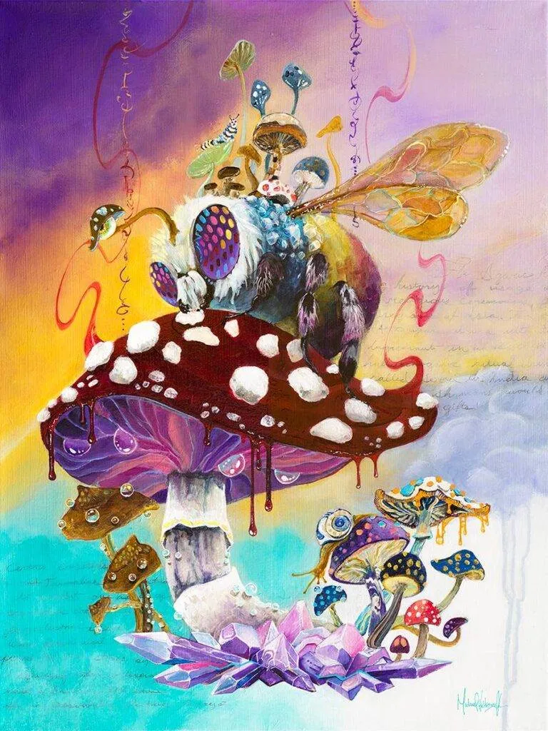 Galactic Forager Prints Limited Edition Canvas Wrap